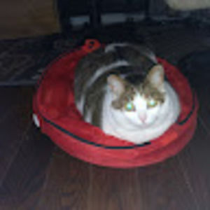 Meet your Posher, Barbara